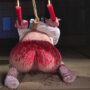 ドM女を緊縛SM調教で躾ける